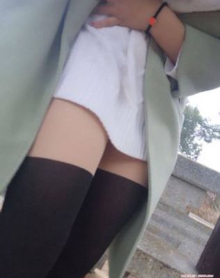 噬血狂袭动漫_DVD高清在线观看