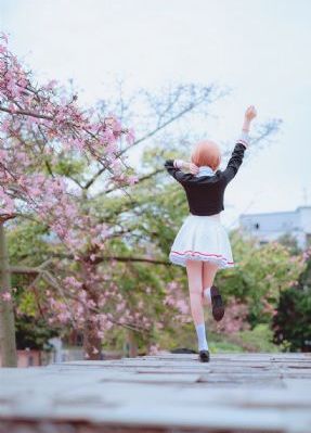 免费国产裸播视频女主播_DVD在线视频播放
